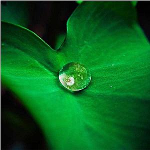 Gepersonaliseerde Mok